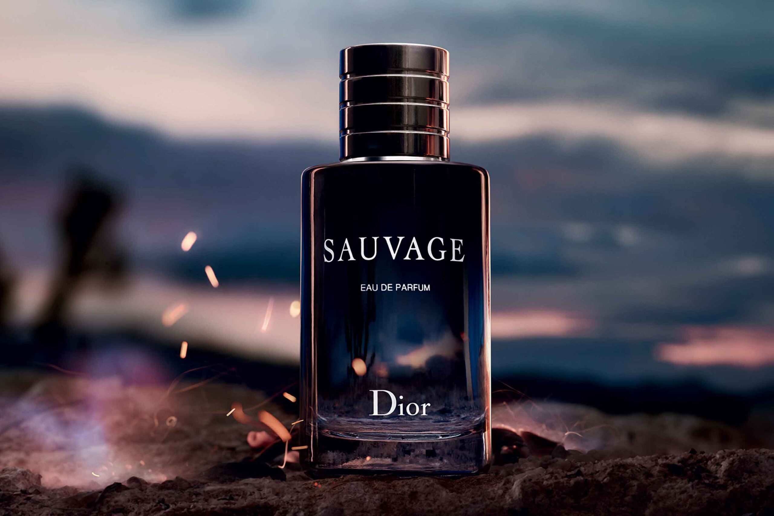 Read more about the article Dior Sauvage Best Perfume Fragrance Review