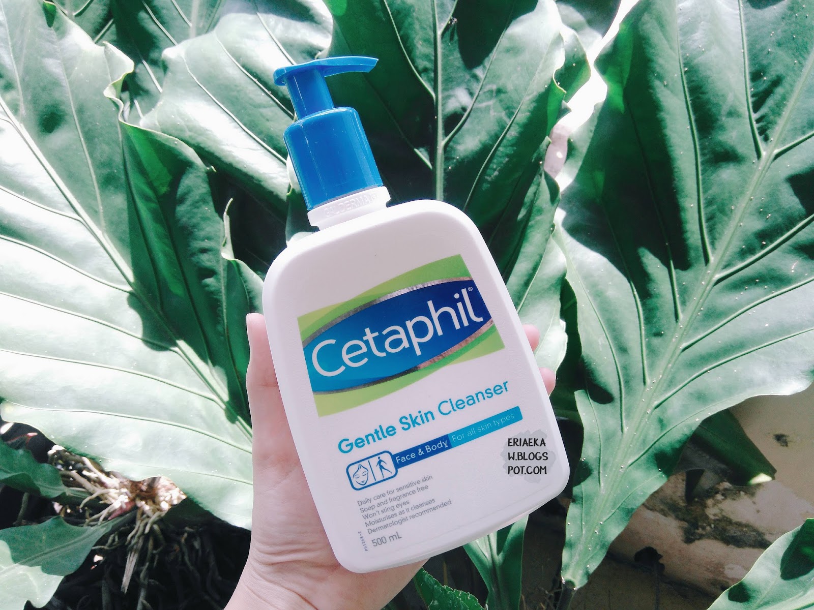 Read more about the article Cetaphil Cleanser Review – Best Face Wash
