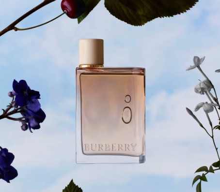 burbery Perfume